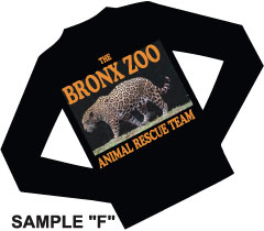 BRONX  ZOO SIMULATED PROCESS